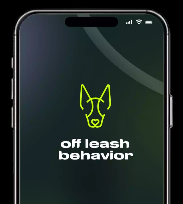 Download the App