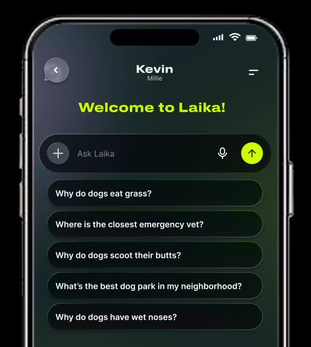 Chat with Laika