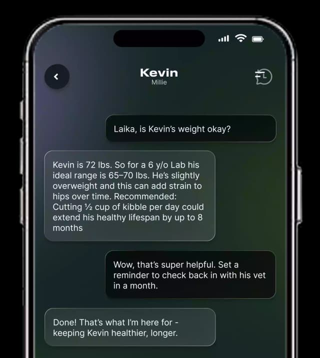 Receive Personalized Insights